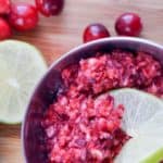 fresh cranberry relish semi close horizontal