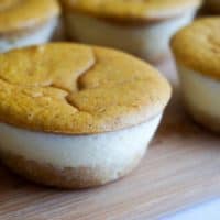 pumpkin cheesecake bites horizontal flat