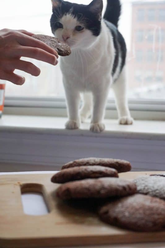 keto cookies miley sniff