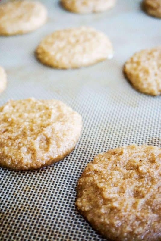 low carb snickerdoodle batter vertical