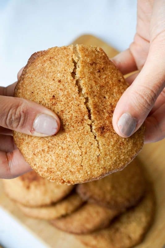 low carb snickerdoodle break3