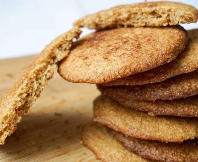 Low Carb Snickerdoodle low carb snickerdoodle final horizontal