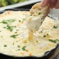 keto appetizers chicken alfredo dip