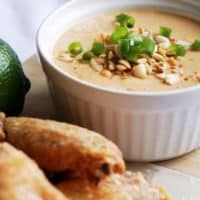 low carb peanut sauce final far