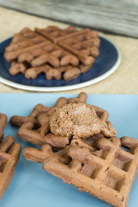 These Keto double chocolate low carb waffles are perfect for any meal of the day and are good enough to be eaten plain or topped with your favorite toppings!