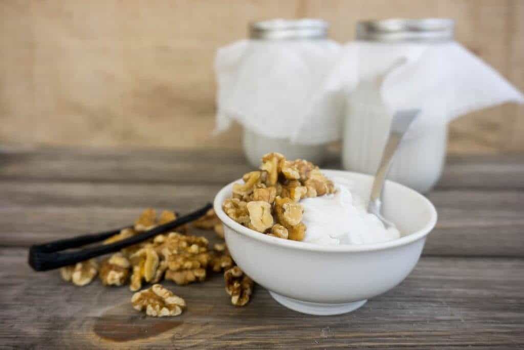 low carb yogurt