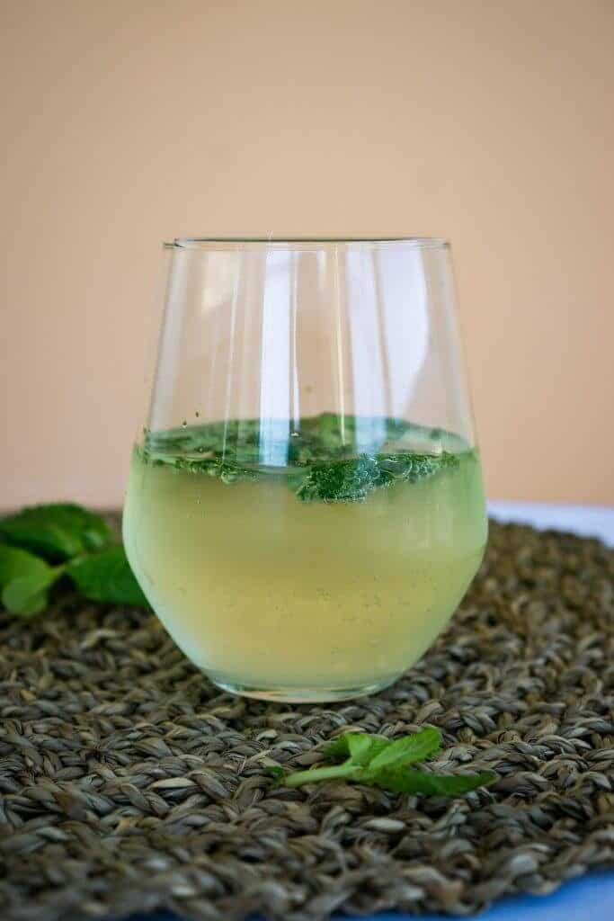 low carb mojito plain