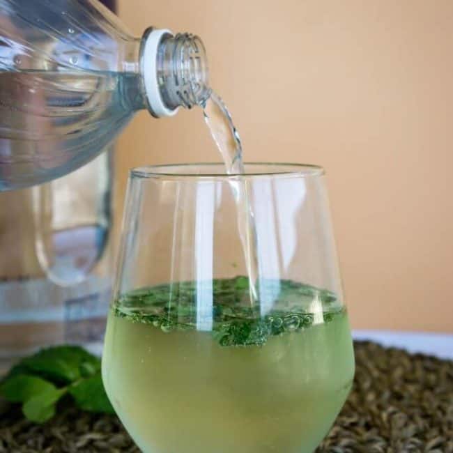 low carb mojito