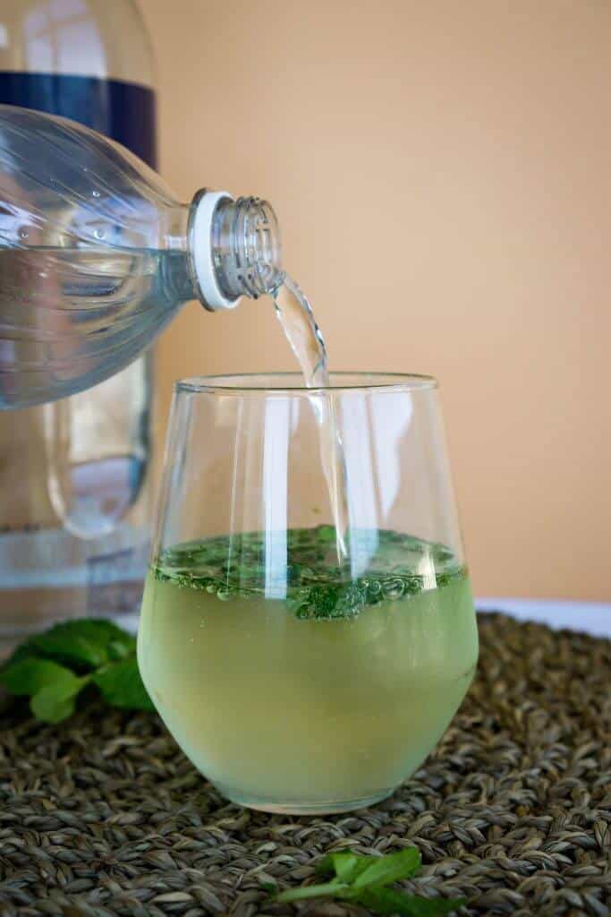 Our Low Carb Mojito uses fresh mint and substitute sweeteners so you can enjoy a drink without derailing your diet!