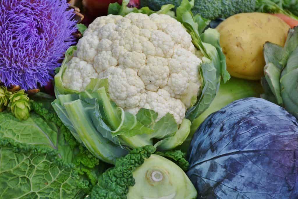 Colorful heads of cauliflower