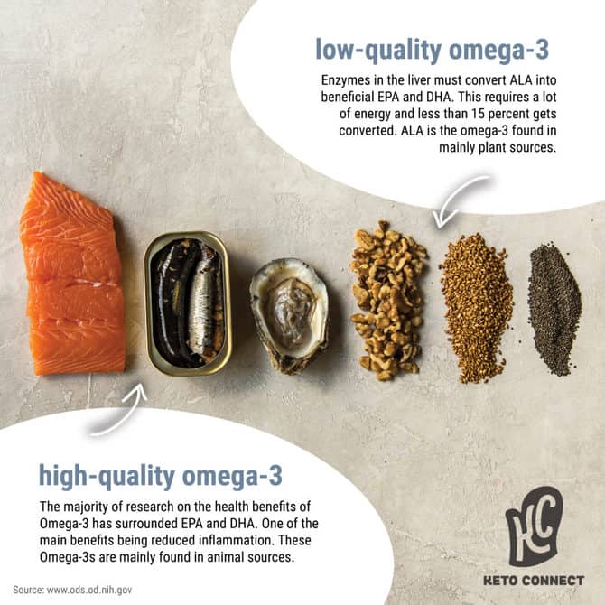 How To Balance Your Omega3 And Omega6 KetoConnect