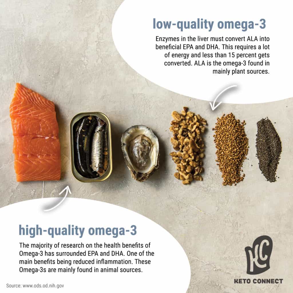 different high omega 3 foods are shown with text describing the differences between plant and animal forms of omega 3