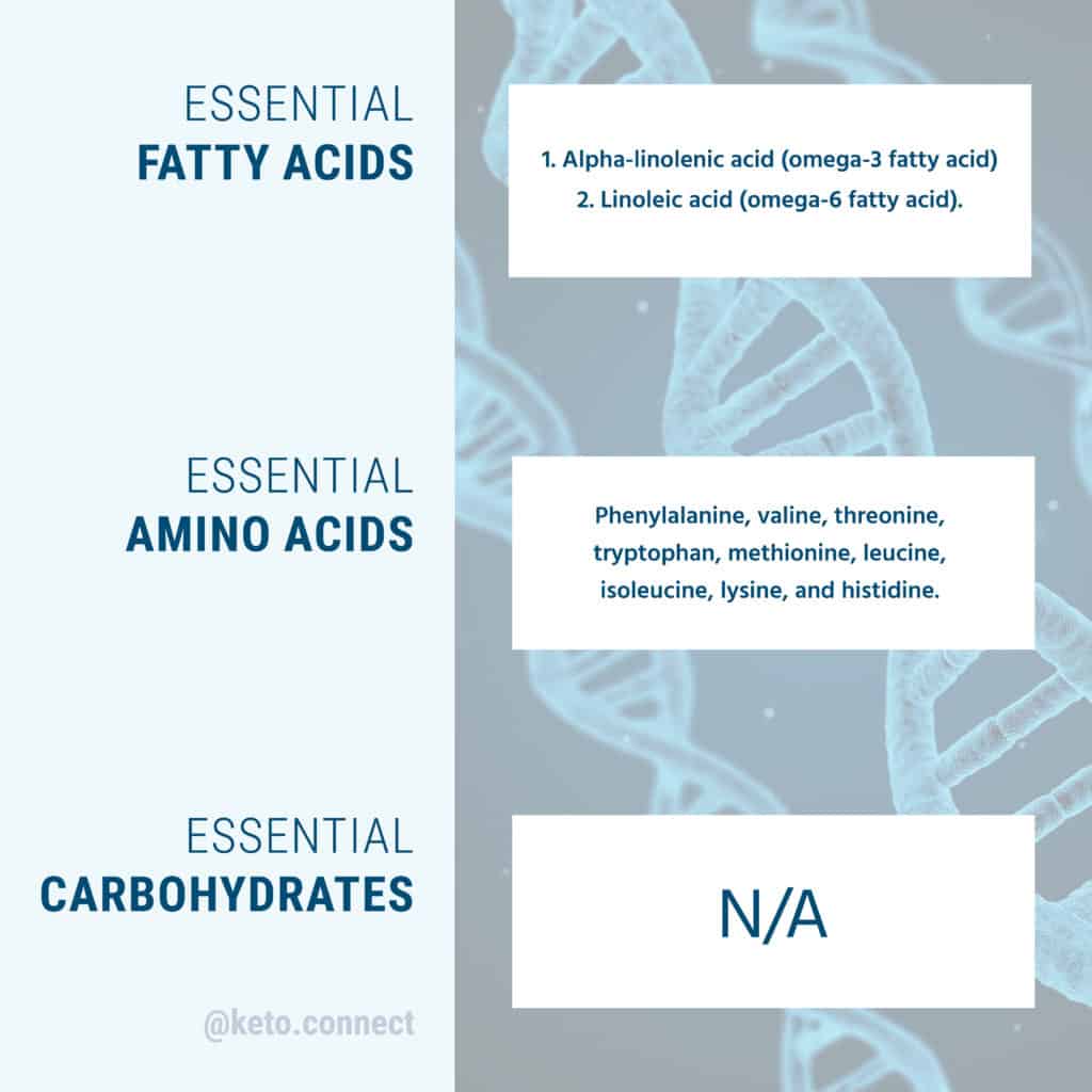 Essential Amino Acids, Fatty Acids, and Carbohydrates Meat contains all of the essential amino acids that make up complete proteins! Beyond burger plant-based burgers do not.