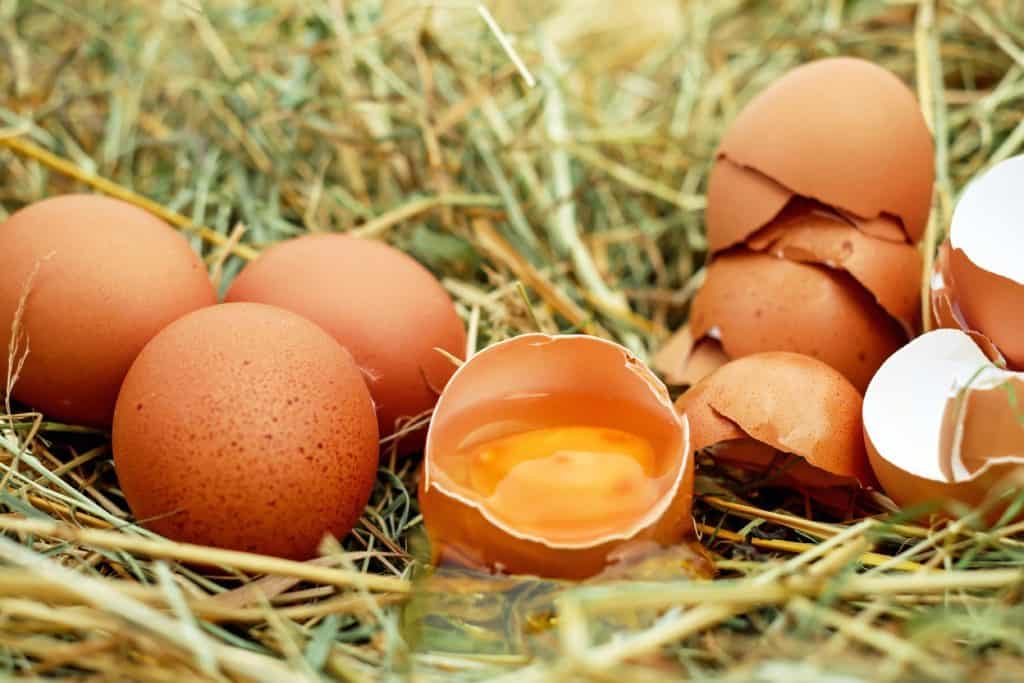 Cracked Egg Yolk Eating healthy fats will increase good cholesterol, while eating sugar increases bad cholesterol. Cholesterol makes up cells in our body and is vital for hormone production, digestion, and vitamin absorption.