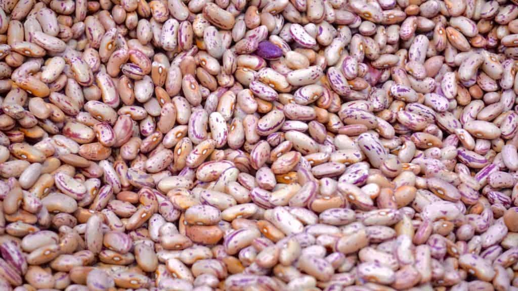 Beans Phytochemicals contribute to malnutrition, digestive distress, thyroid disorders, immune system breakdown, infertility autism, ADD, ADHD, allergies, heart disease, and even cancer. Beans and nuts are high in protein and produce phytochemicals.