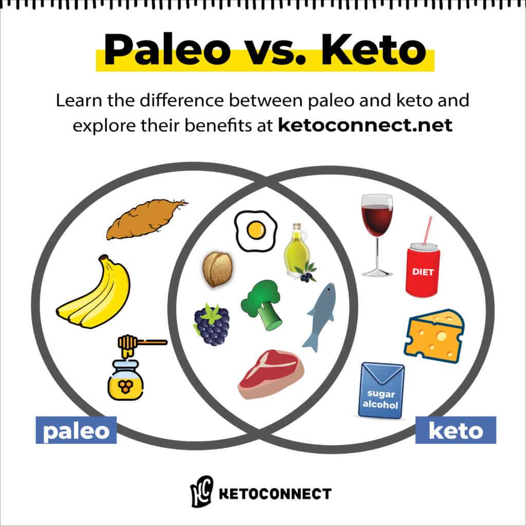 paleo vs keto diagram venn diagram depicting the difference between paleo vs keto diets