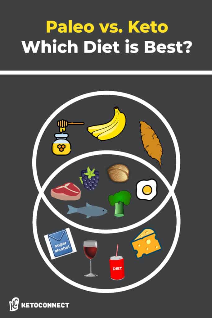 paleo vs keto paleo vs keto
