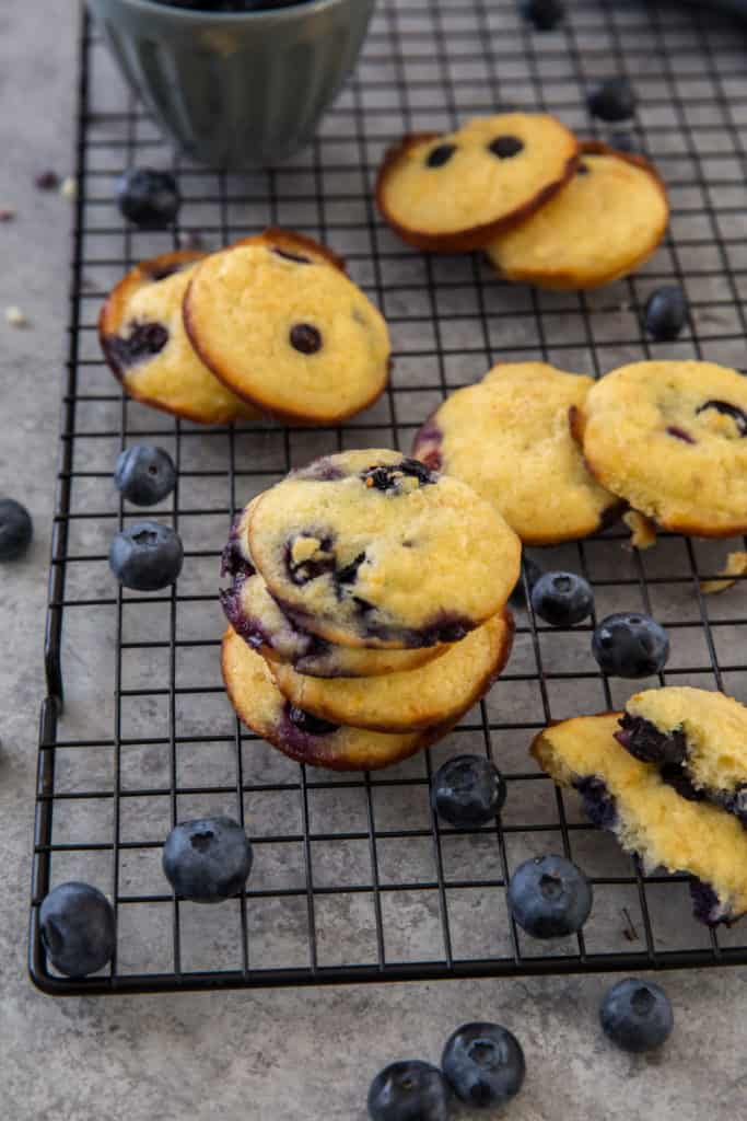 muffin top coconut flour cookies on a cooling rack surrounded by fresh blueberries