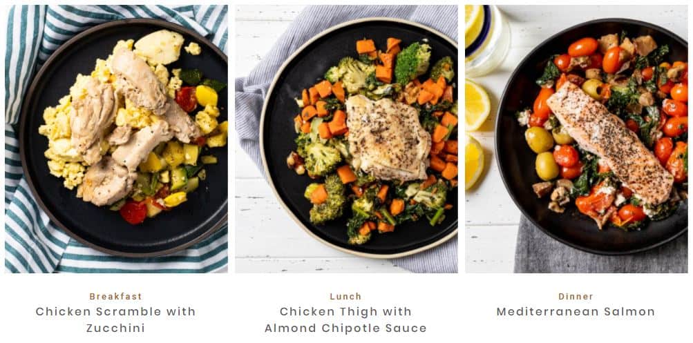 meal options from fresh n lean