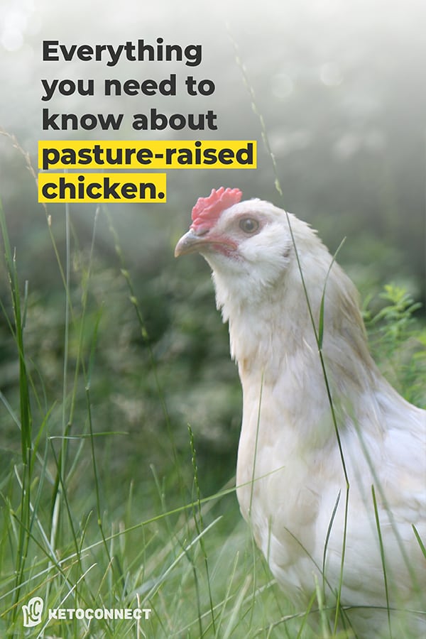 pasture raised eggs chicken with text overlay of everything you need to know about pasture raised chickens