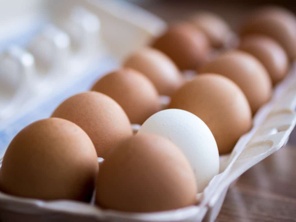 a dozen farm fresh eggs in a carton