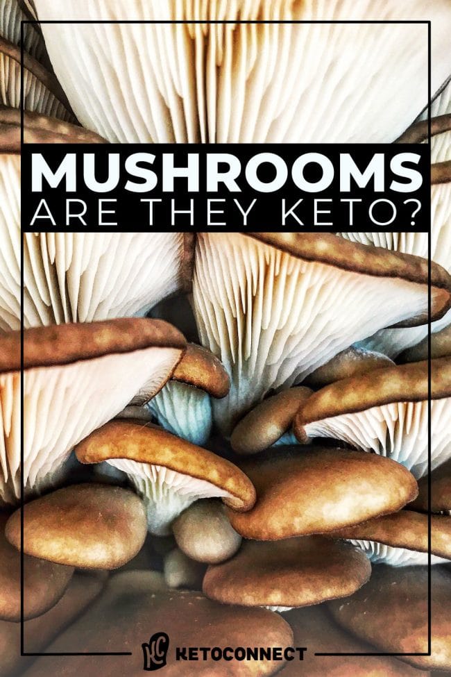 are mushrooms a keto friendly food