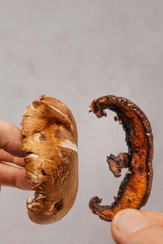 fresh mushroom being held next to a mushroom chip