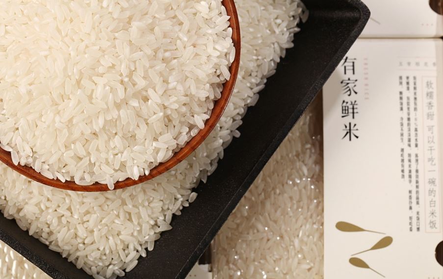 Can you eat rice on a low carb diet