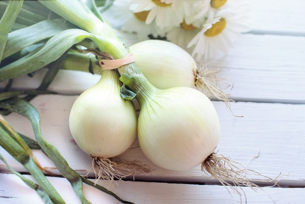 three onions on a picnic table