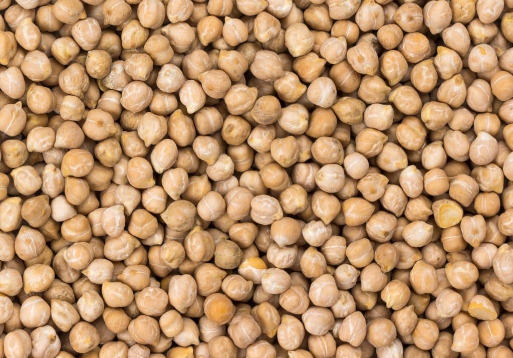 garbanzo beans chickpeas close up