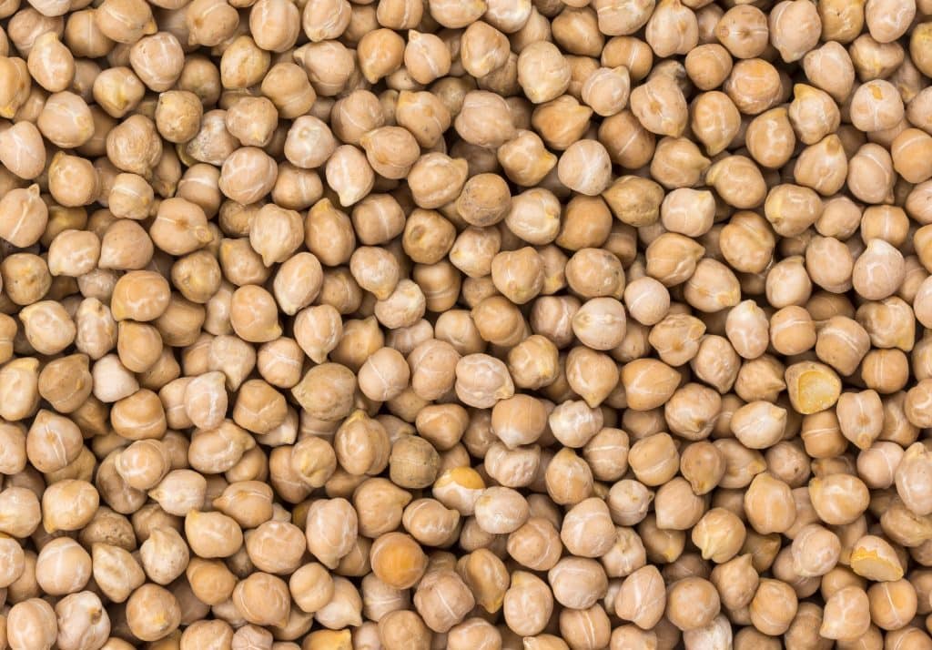 are chickpeas keto garbanzo beans chickpeas close up