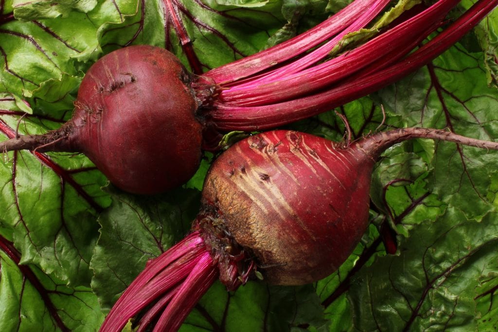 two beets on a bed of leaves