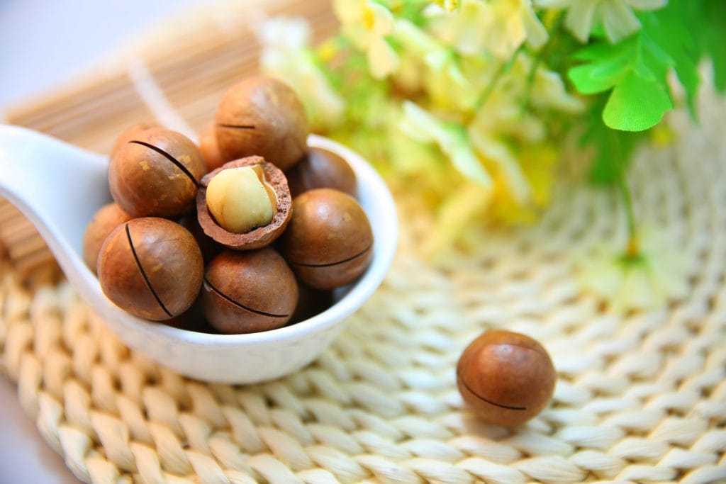 are sunflower seeds keto Macadamia nuts