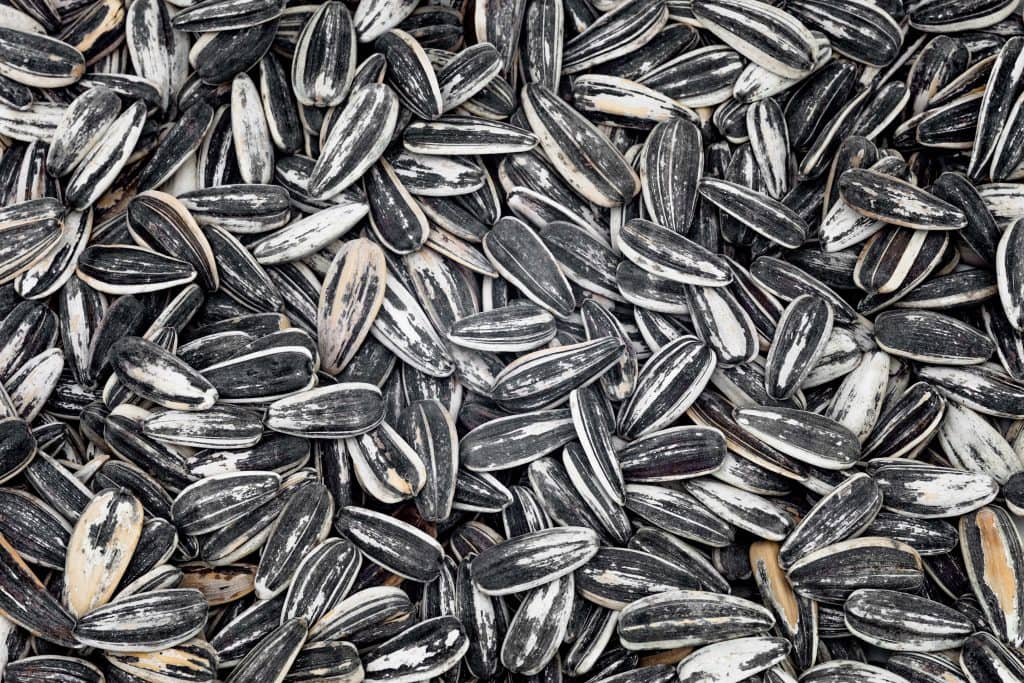 are sunflower seeds keto Sunflower Seeds