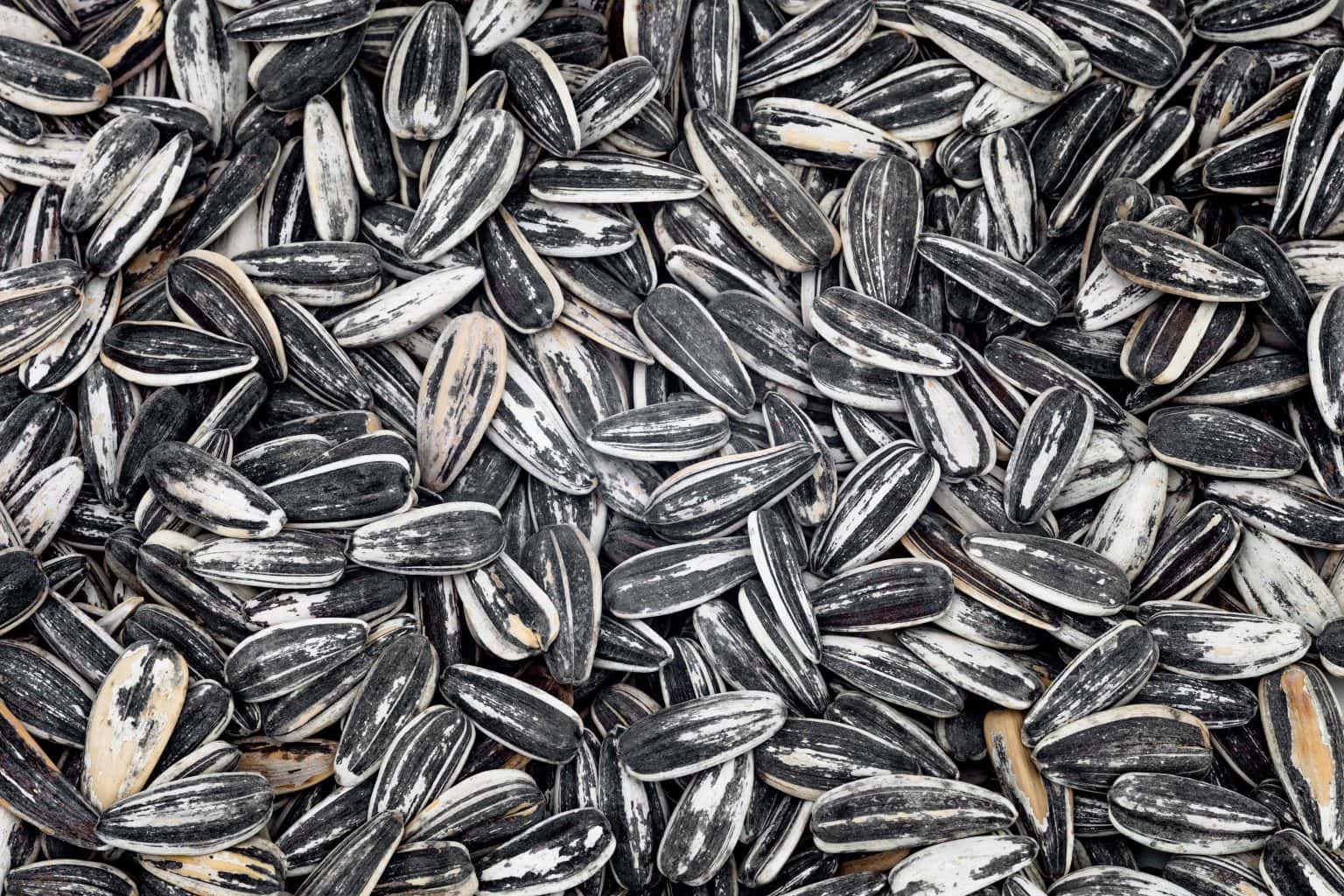 Are Sunflower Seeds Keto Friendly? KetoConnect