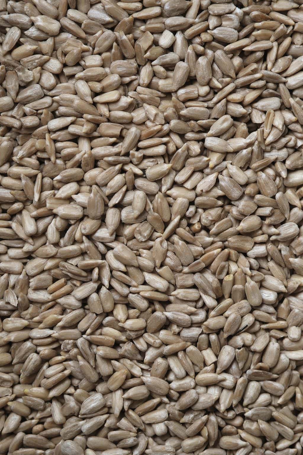 Are Sunflower Seeds Keto Friendly? KetoConnect
