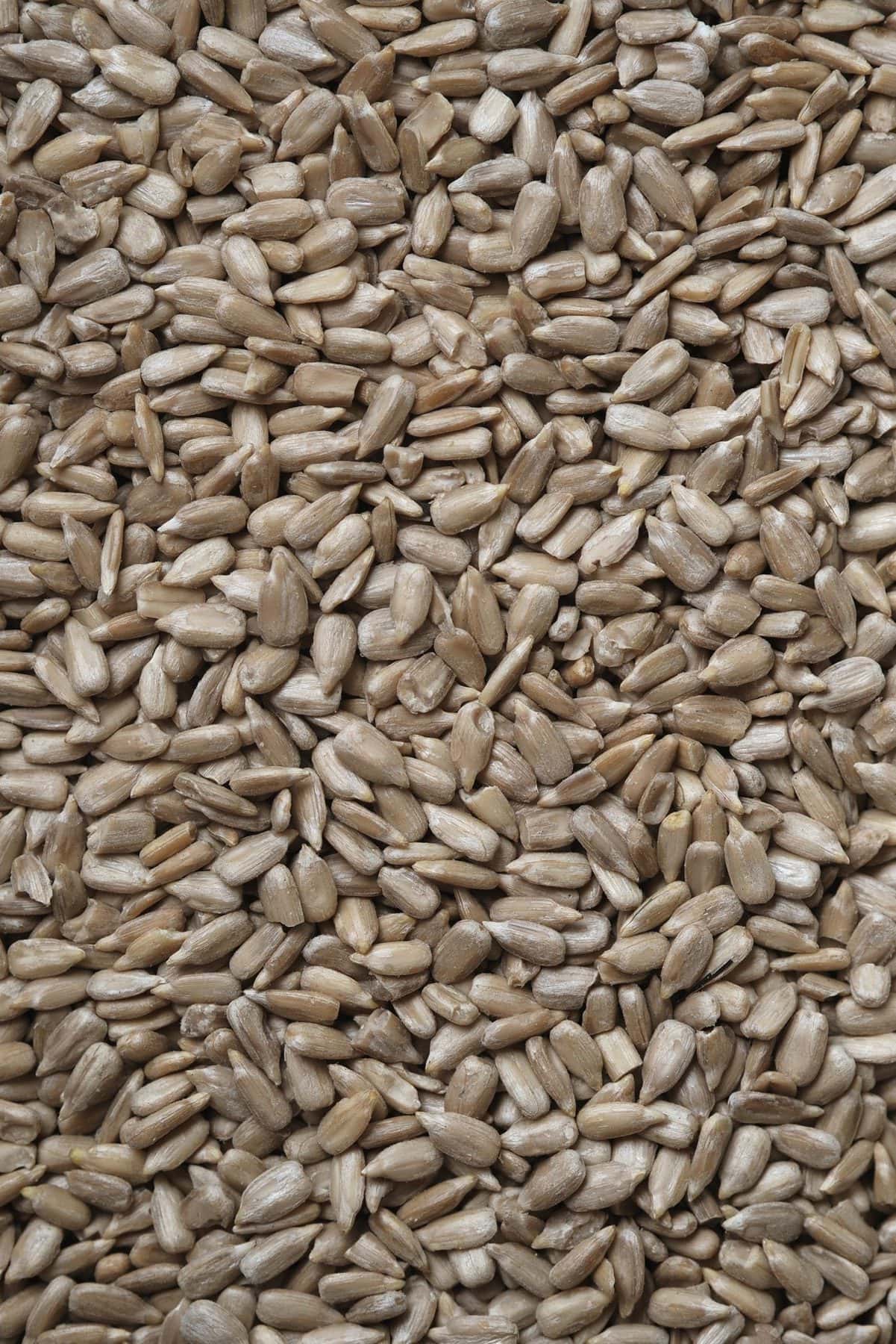 Are Sunflower Seeds Keto Friendly? KetoConnect
