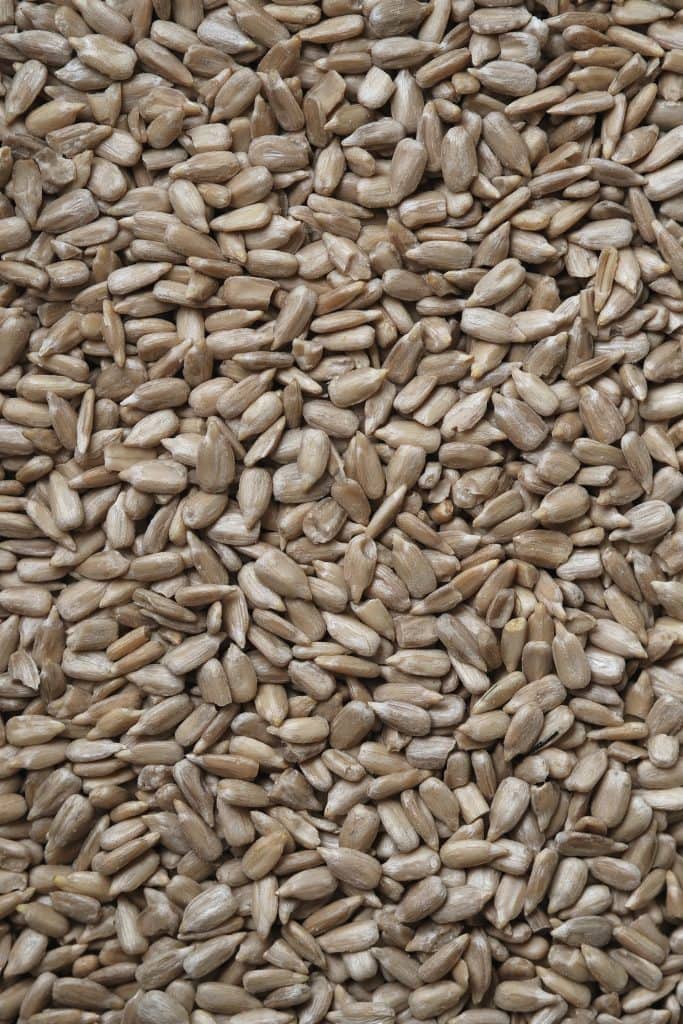 sunflower seeds