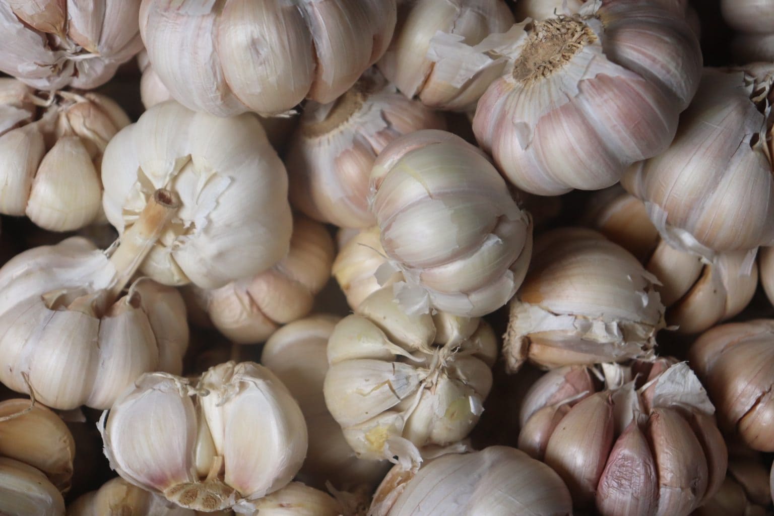 Is Garlic Keto? Nutritional Facts And Recipes KetoConnect