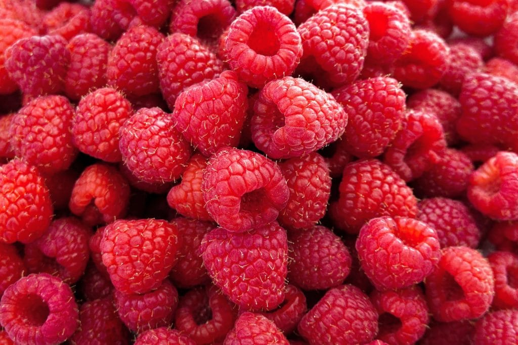 are grapes keto Raspberries