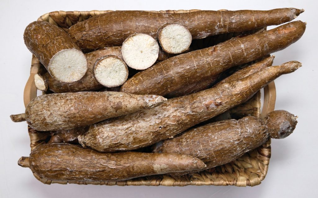 cassava root vegetable