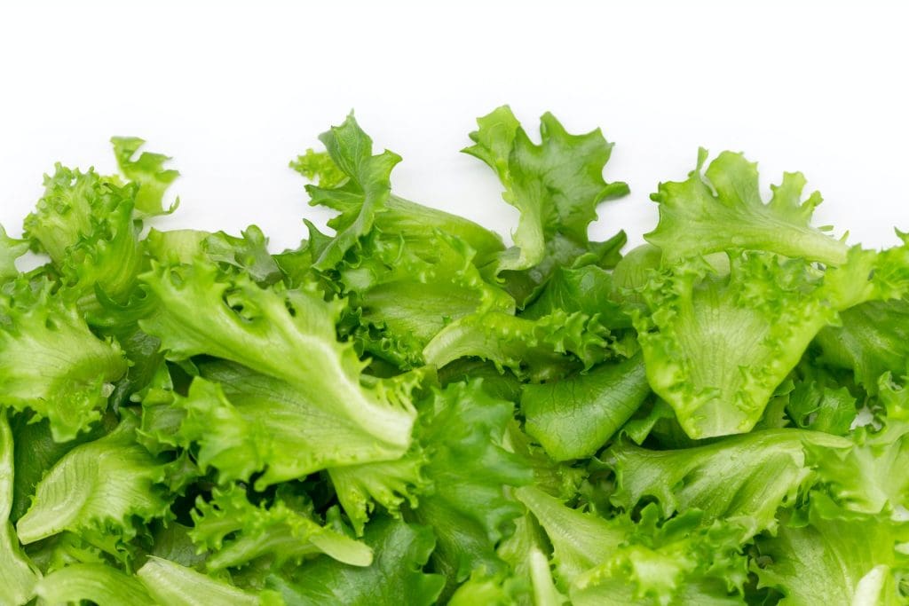 are cucumbers keto lettuce