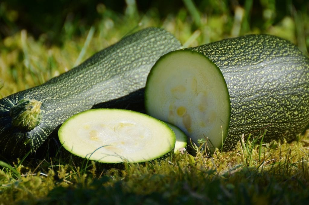 zucchini