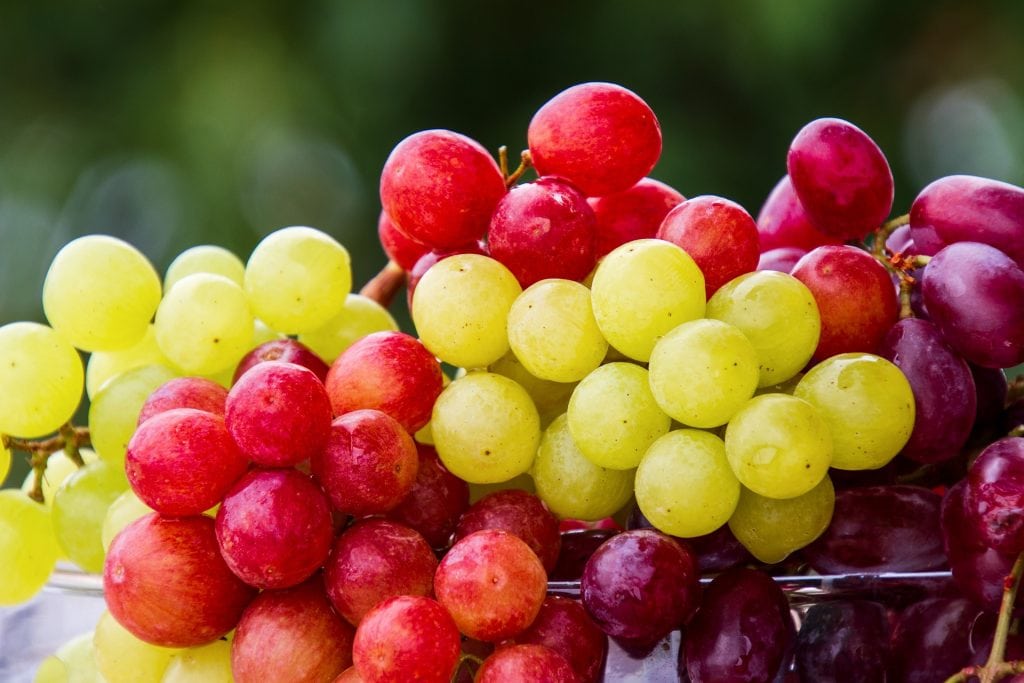 General information about grapes