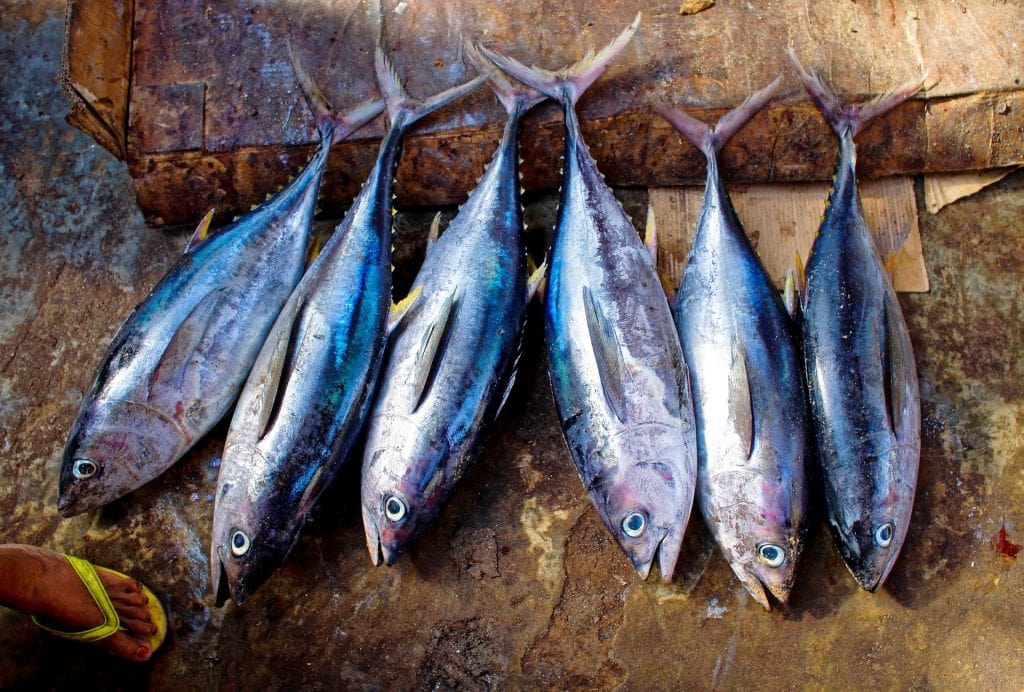 is imitation crab keto tuna fish