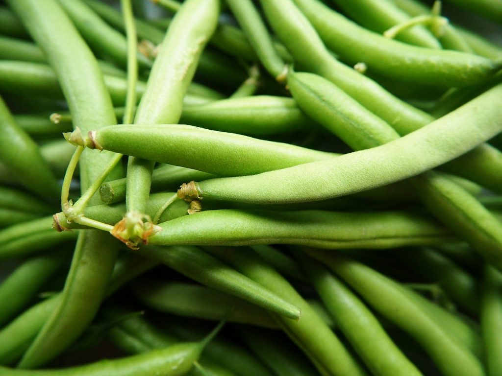 are green beans keto