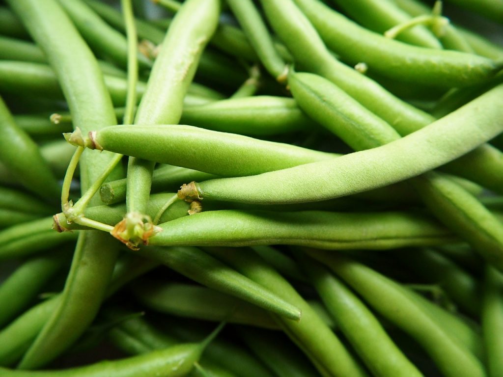 They are keto green beans