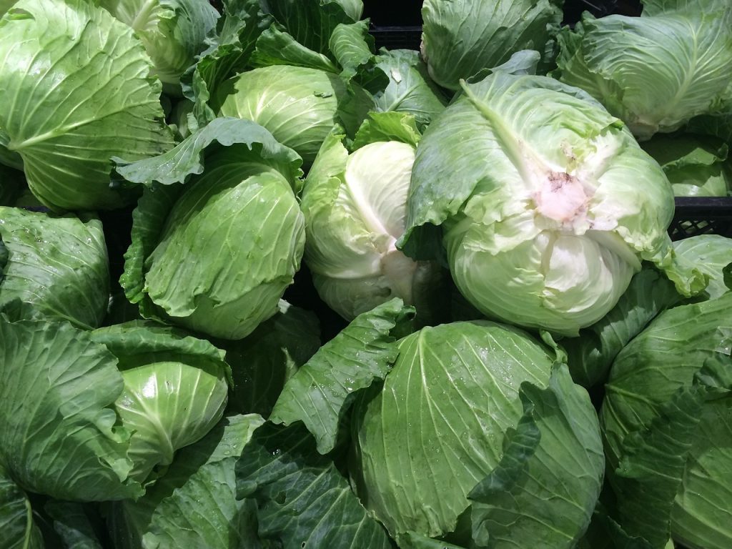 keto cabbage