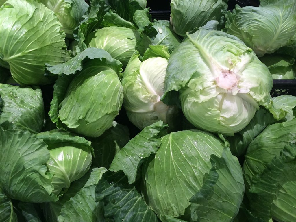 is cabbage keto