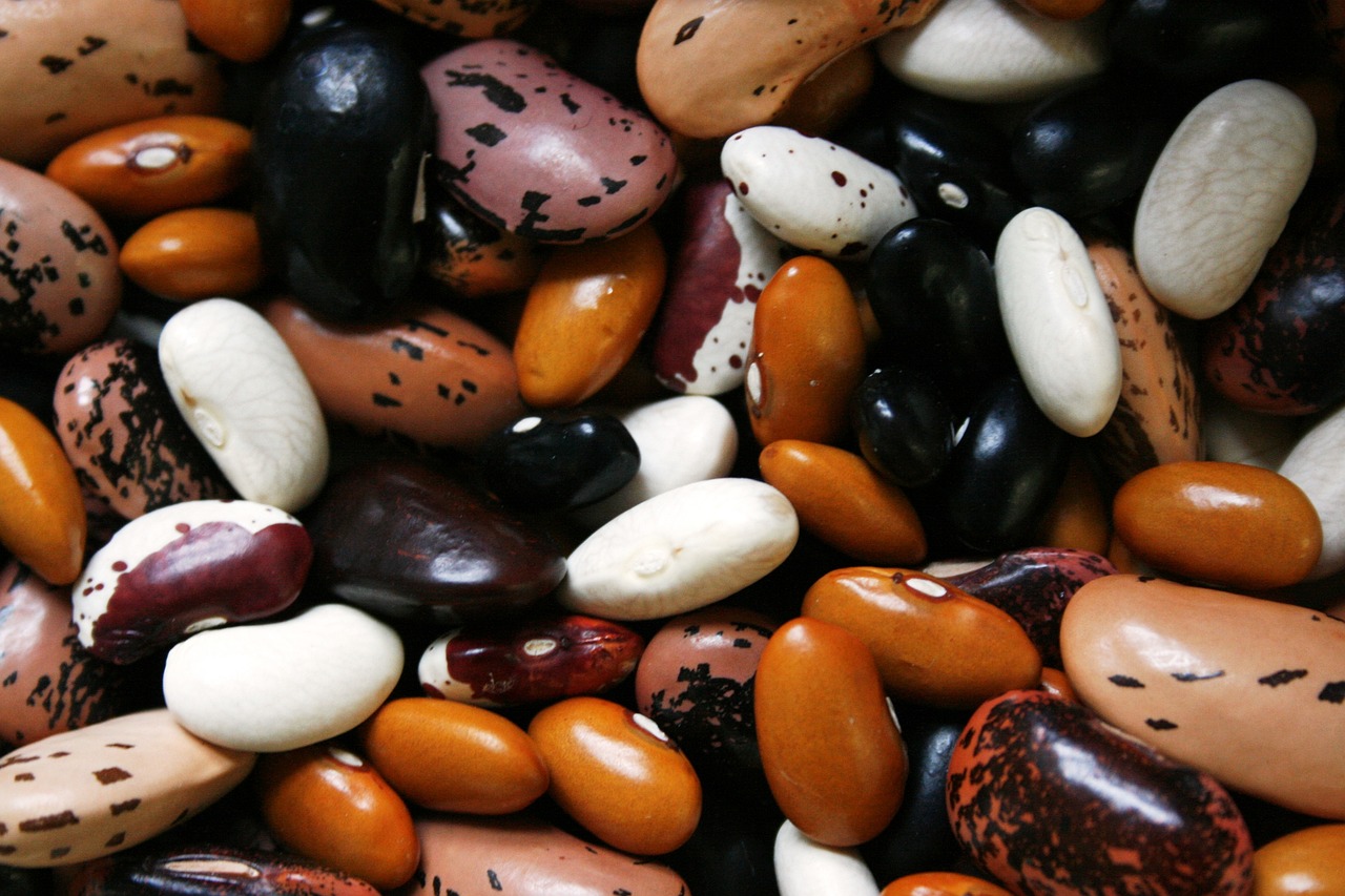 are beans keto are beans keto